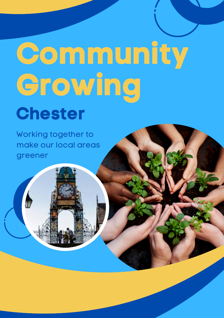 Chester Directory image